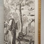 Couverture du livre Estimation du livre « les avantures de la Madona et de François d’Assise »