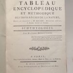Couverture du livre Estimation du livre « tableau encyclopédique et méthodique des trois règnes de la nature, dédié et présenté à M. Necker […] : Ichtyologie / Erpétologie / Ophiologie, Insectologie, Ornithologie. »