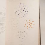 Couverture du livre Estimation du livre « traité de microscopie clinique (microscope) »