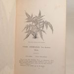 Couverture du livre Estimation du livre « a Natural History of New and Rare Ferns […] with Coloured Illustrations and Wood-cuts. »