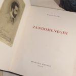 Couverture du livre Estimation du livre « zandomeneghi »