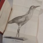 Couverture du livre Estimation du livre « l’art d’empailler les oiseaux, contenant des principes nouveaux et sûrs pour leur conserver leurs formes et leurs attitudes naturelles, avec la méthode de les classer d’après le système de Linné. Par les citoyens Hénnon et Mouton-Fontenille. Seconde édition, ornée de cinq planches en taille douce. »