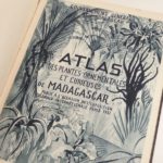 Couverture du livre Estimation du livre « atlas des plantes ornementales et curieuses de Madagascar, publié à l’occasion de l’Exposition coloniale internationales Paris 1931. »