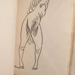 Couverture du livre Estimation du livre « dessins inédits de Rouveyre 1907-1909 : Le Gynécée. Recuil précédé d’une glose par Rémy de Gourmont. »