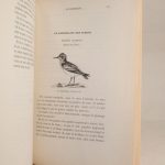 Couverture du livre Estimation du livre « nos oiseaux de mer, de rivière et de marais : La sauvagine en France. Chasse, description et histoire naturelle de toutes les espèces visitant nos contrées. »