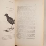 Couverture du livre Estimation du livre « nos oiseaux de mer, de rivière et de marais : La sauvagine en France. Chasse, description et histoire naturelle de toutes les espèces visitant nos contrées. »