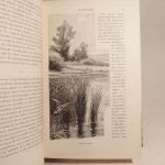 Couverture du livre Estimation du livre « les canards sauvages et leurs congénères. Leurs migrations, leur description, et leur chasse de jour et de nuit, devant soi, en bateaux, à la hutte et au gabion. Préface de M. le Comte J. de Sabran-Pontevès. »