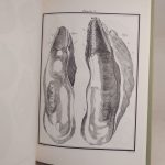 Couverture du livre Estimation du livre « minéralogie du Dauphiné »