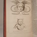 Couverture du livre Estimation du livre « la Religion des Gaulois, tirée des plus pures sources de l’Antiquité, par le R. P. Dom***. Ouvrage enrichi de gravures en taille-douce. »
